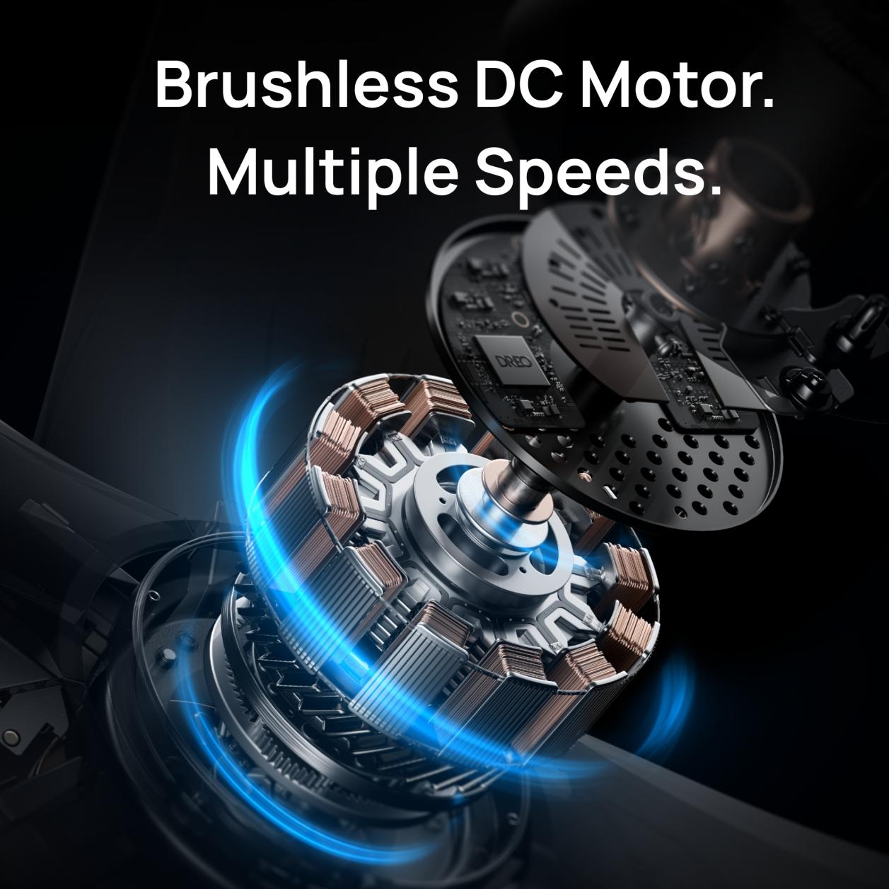 Brushless DC Motor.