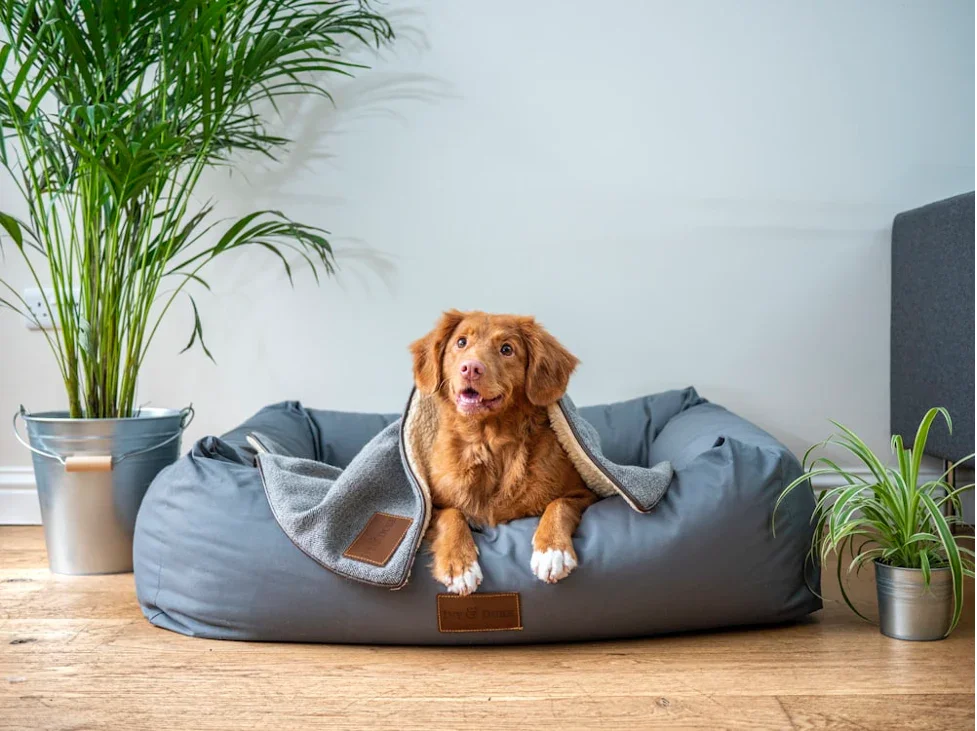 Do Indoor Space Heaters Cost a Lot? How Much Do They Cost? - DREO