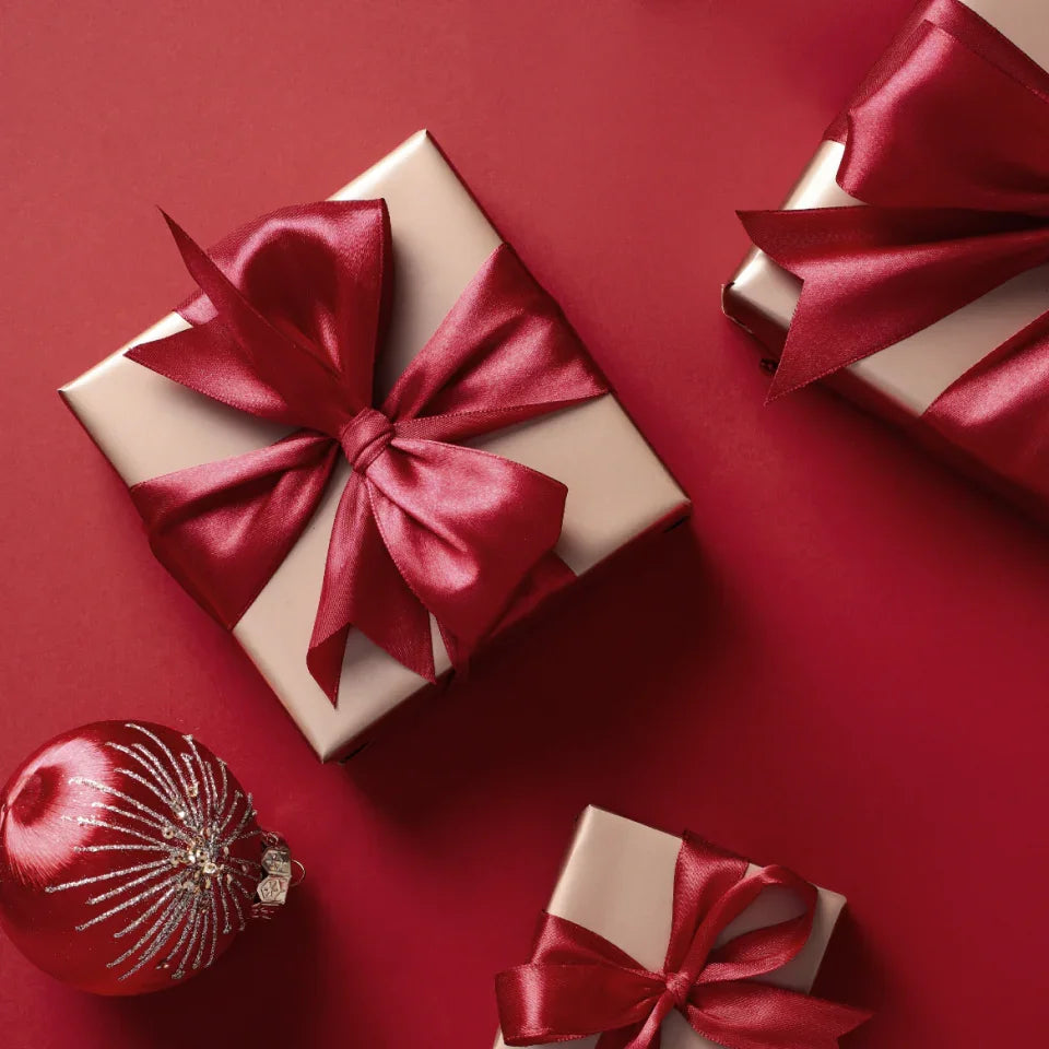DREO's 2024 Holiday Gift Guide - DREO