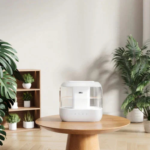 Do You Have to Use Distilled Water in a Humidifier? - DREO