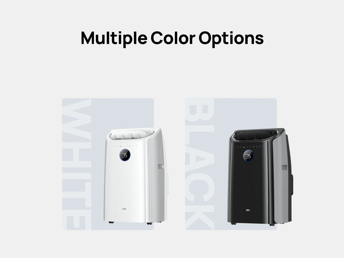 Multiple Color Options