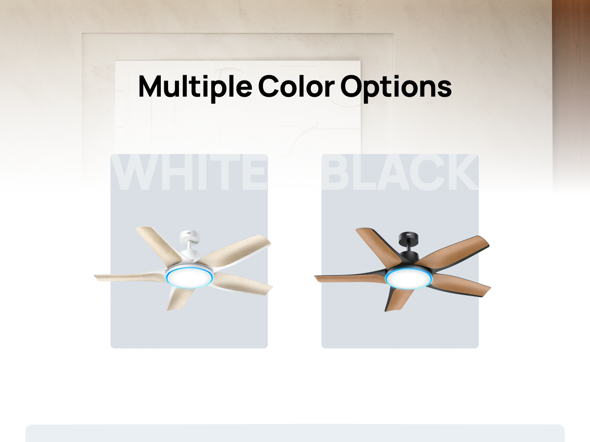 Multiple Color Options