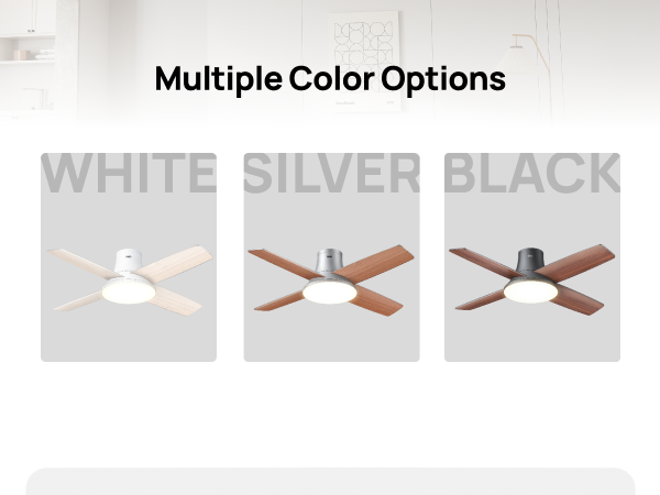 Multiple Color Options