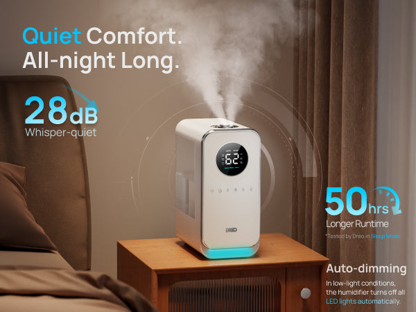 Quiet Comfort
All-night Long