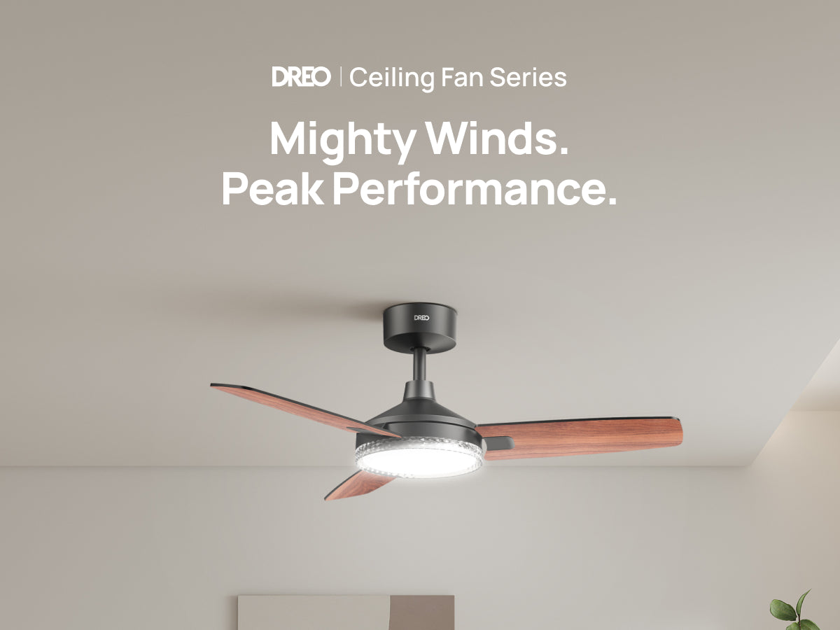 Mighty Winds.
Peak Performance.