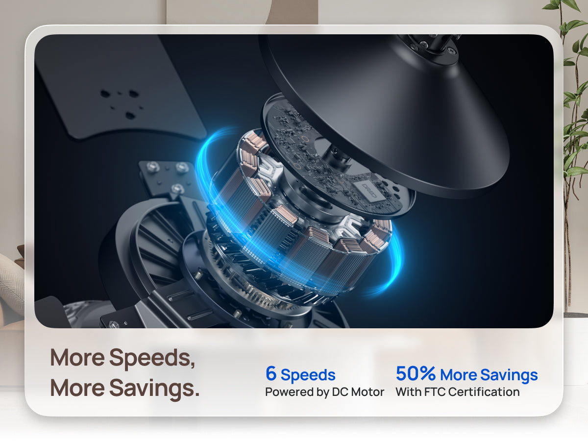 More Speeds,
More Savings.
