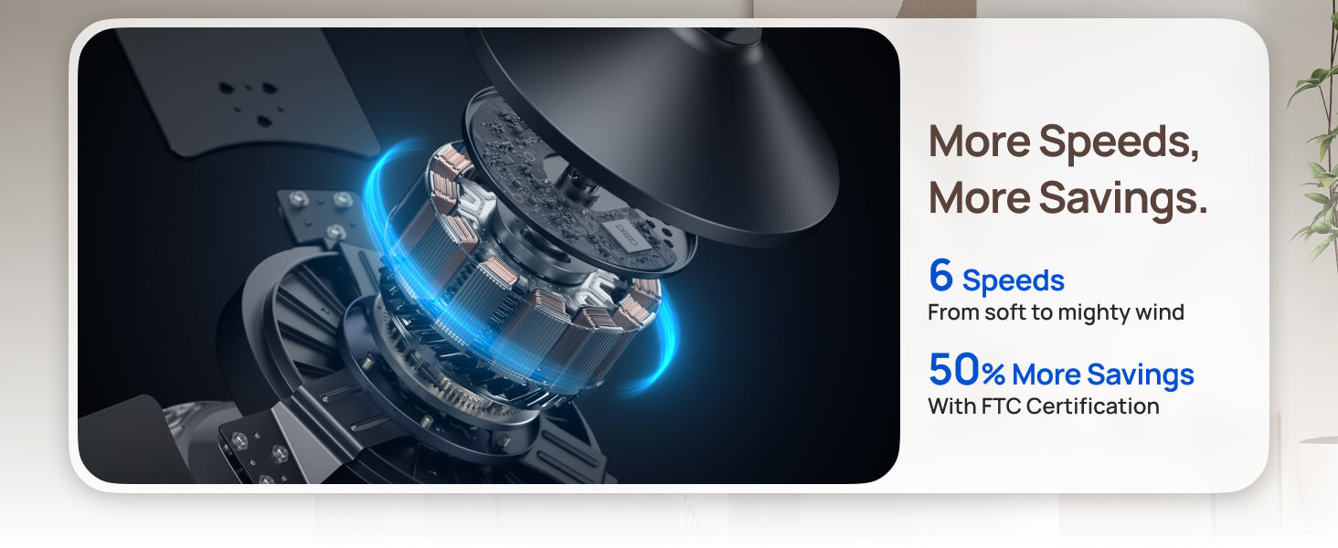 More Speeds,
More Savings.