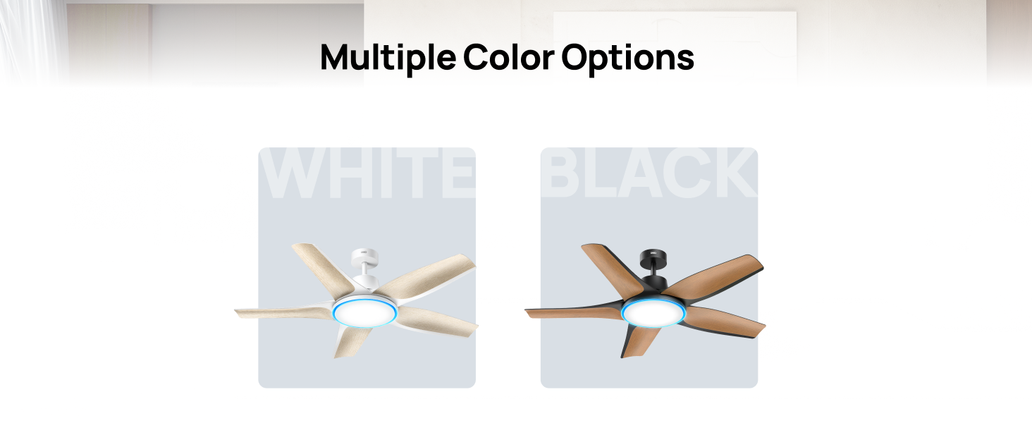 Multiple Color Options