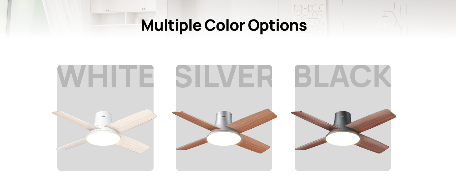 Multiple Color Options