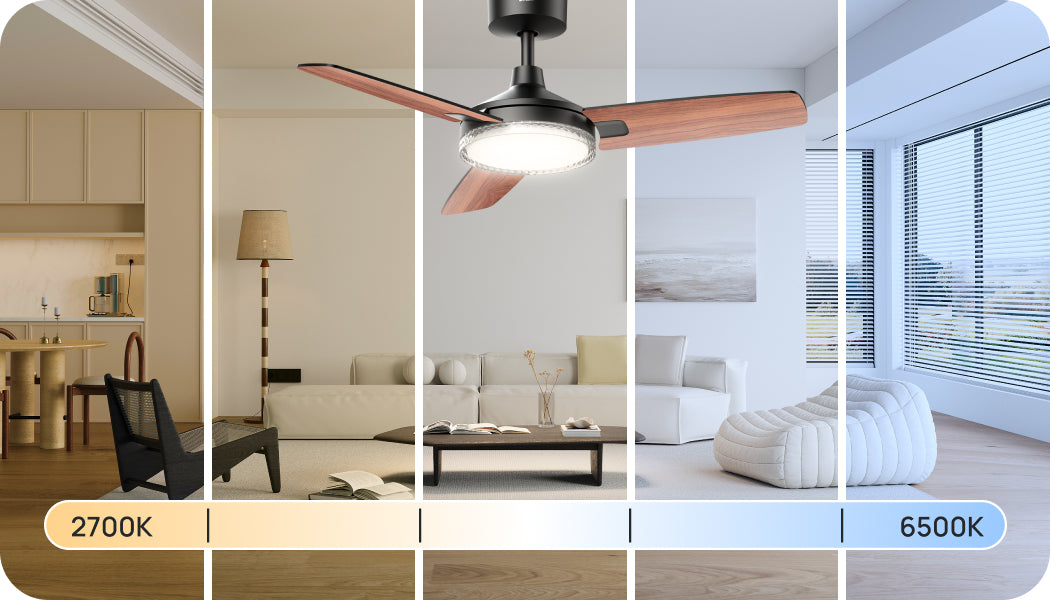 5 LIGHT TEMPERATURES