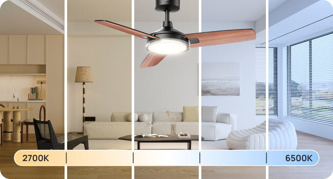 5 LIGHT TEMPERATURES