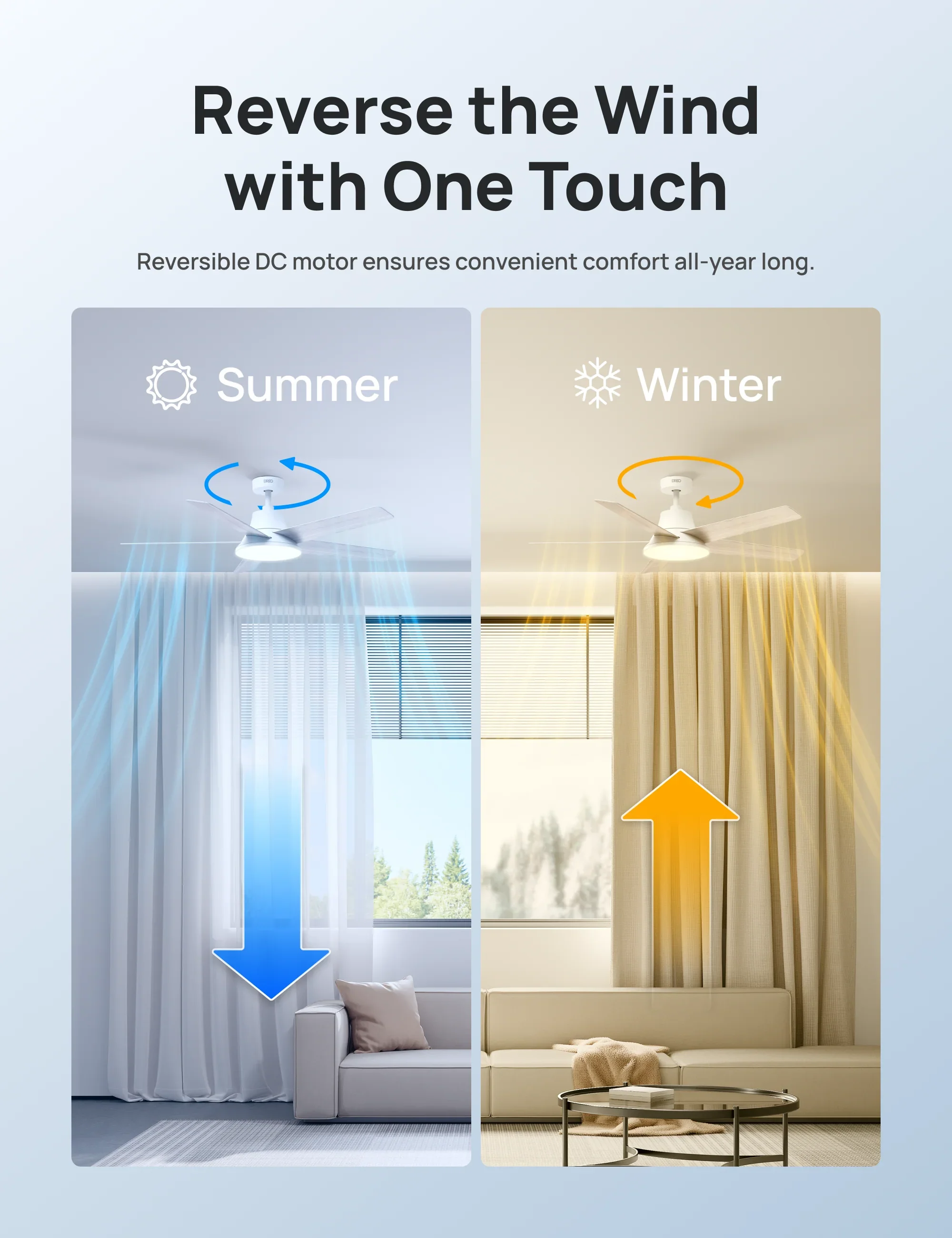 Smart Ceiling Fan CLF521S - DREO