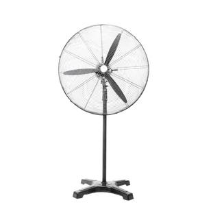 Traditional Fan