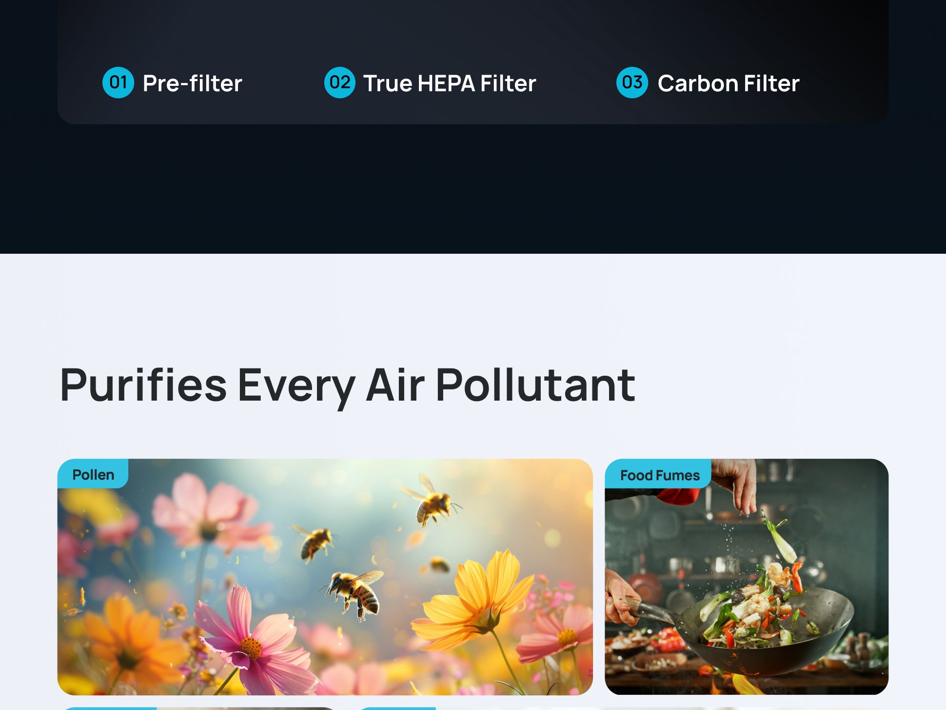 Purifies Every Air Pollutant