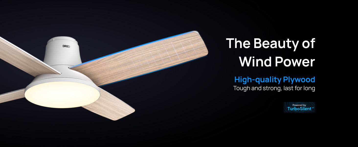 The beauty of wind power