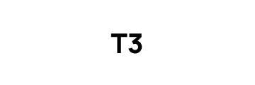 T3