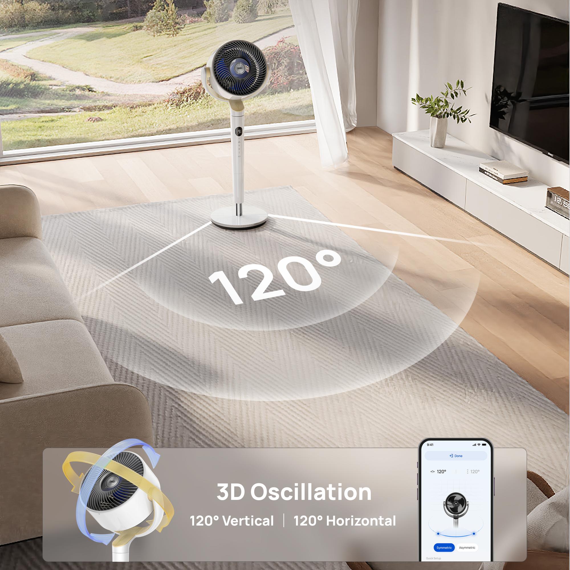 3D Oscillation