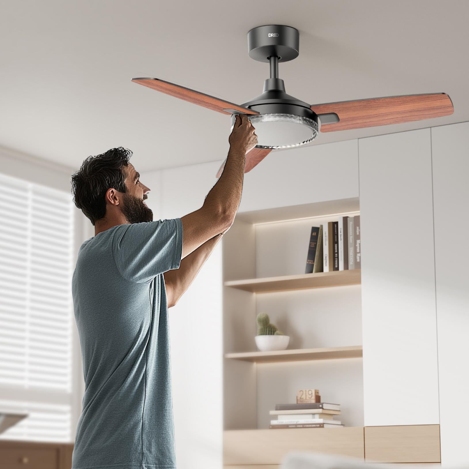Ceiling Fan