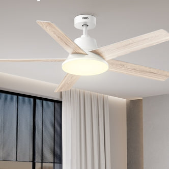 Ceiling Fan