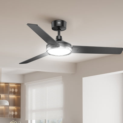 Ceiling Fans