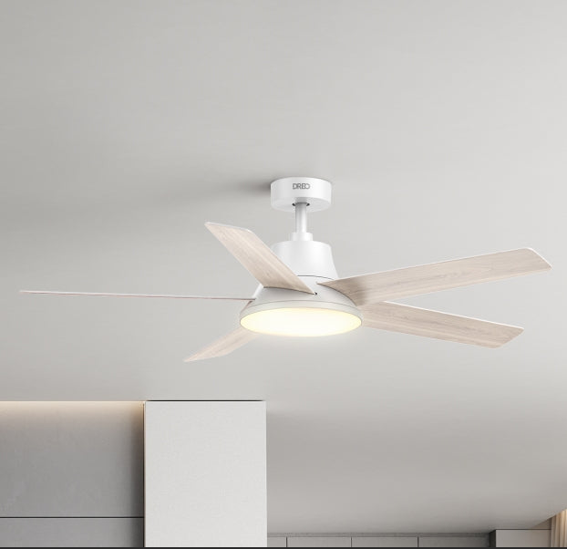 Ceiling Fan