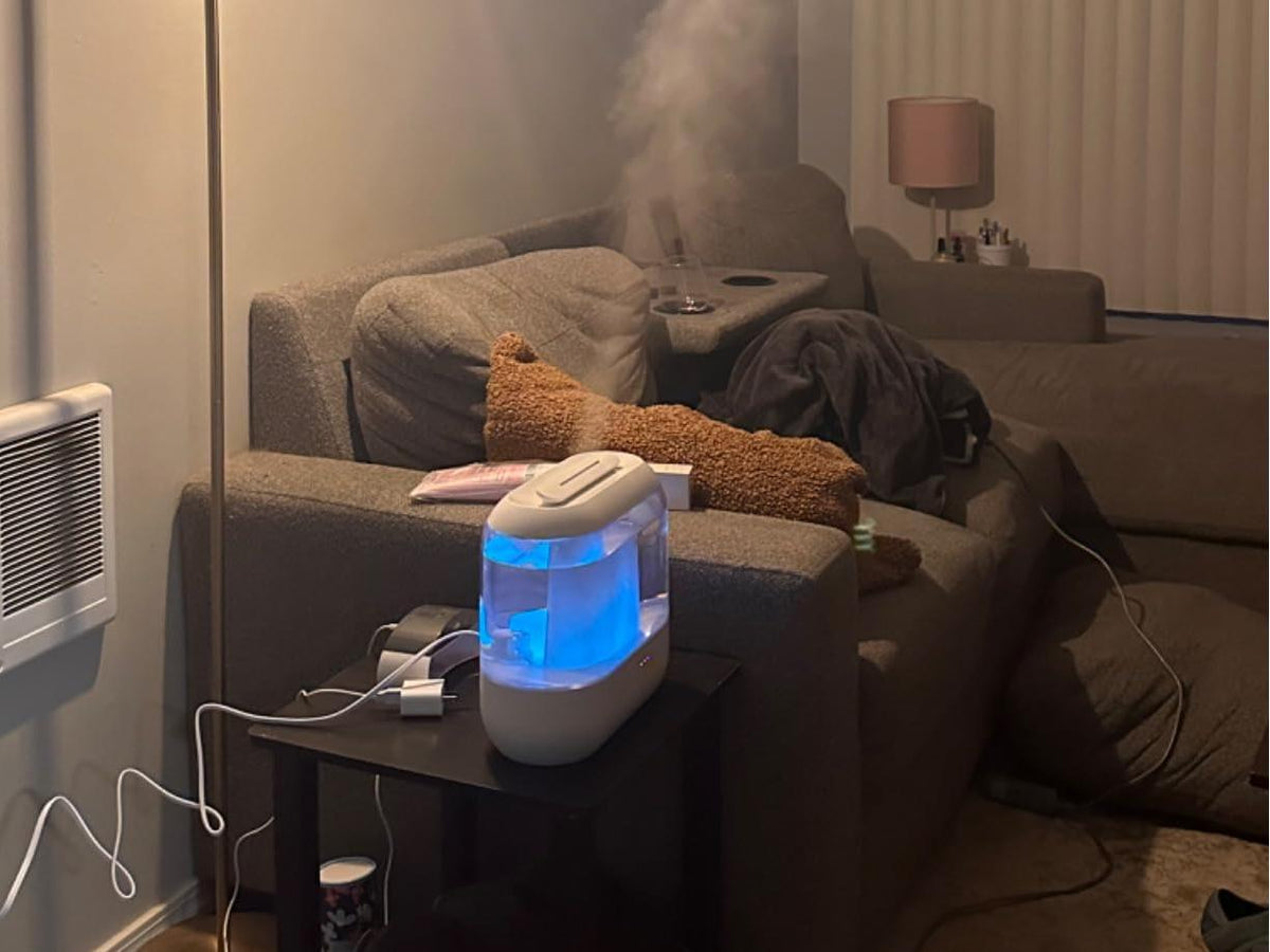 HM311S humidifer
