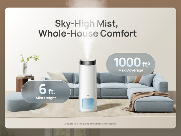 Sky-High Mist
