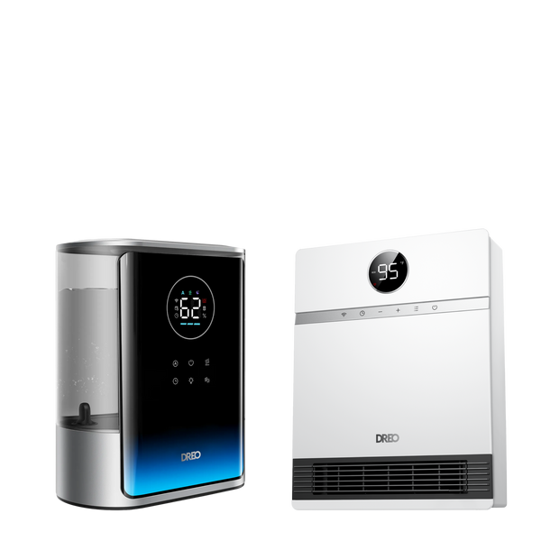 Humidifier and heater