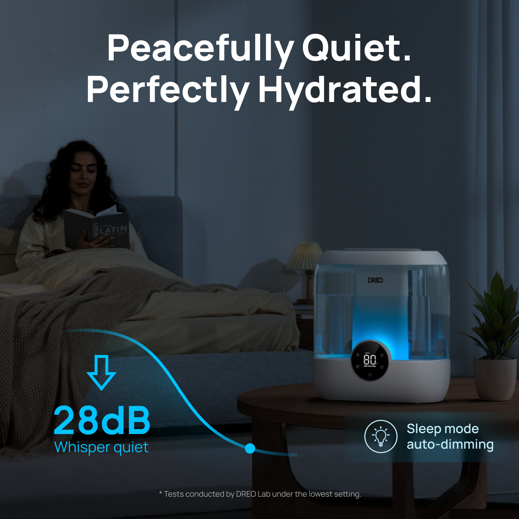 Humidifier HM524 6L