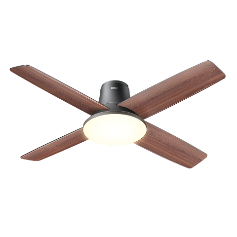 Ceiling Fans