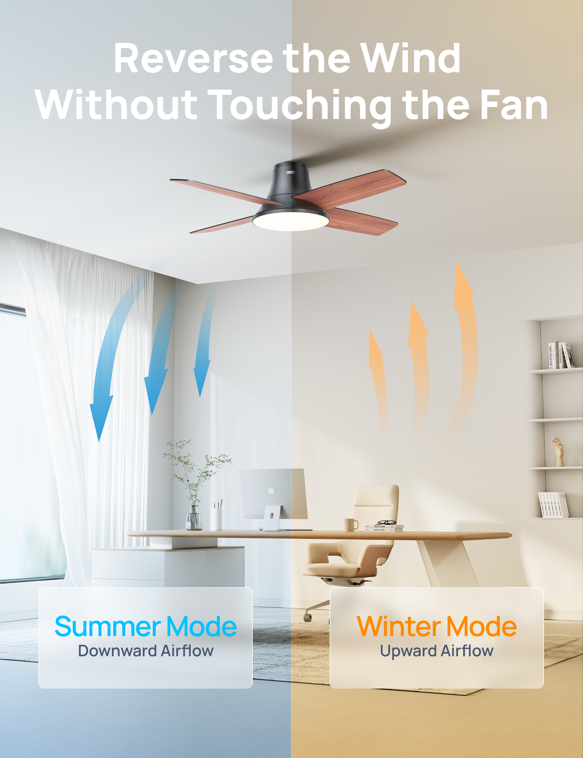 CLF513 Ceiling Fan