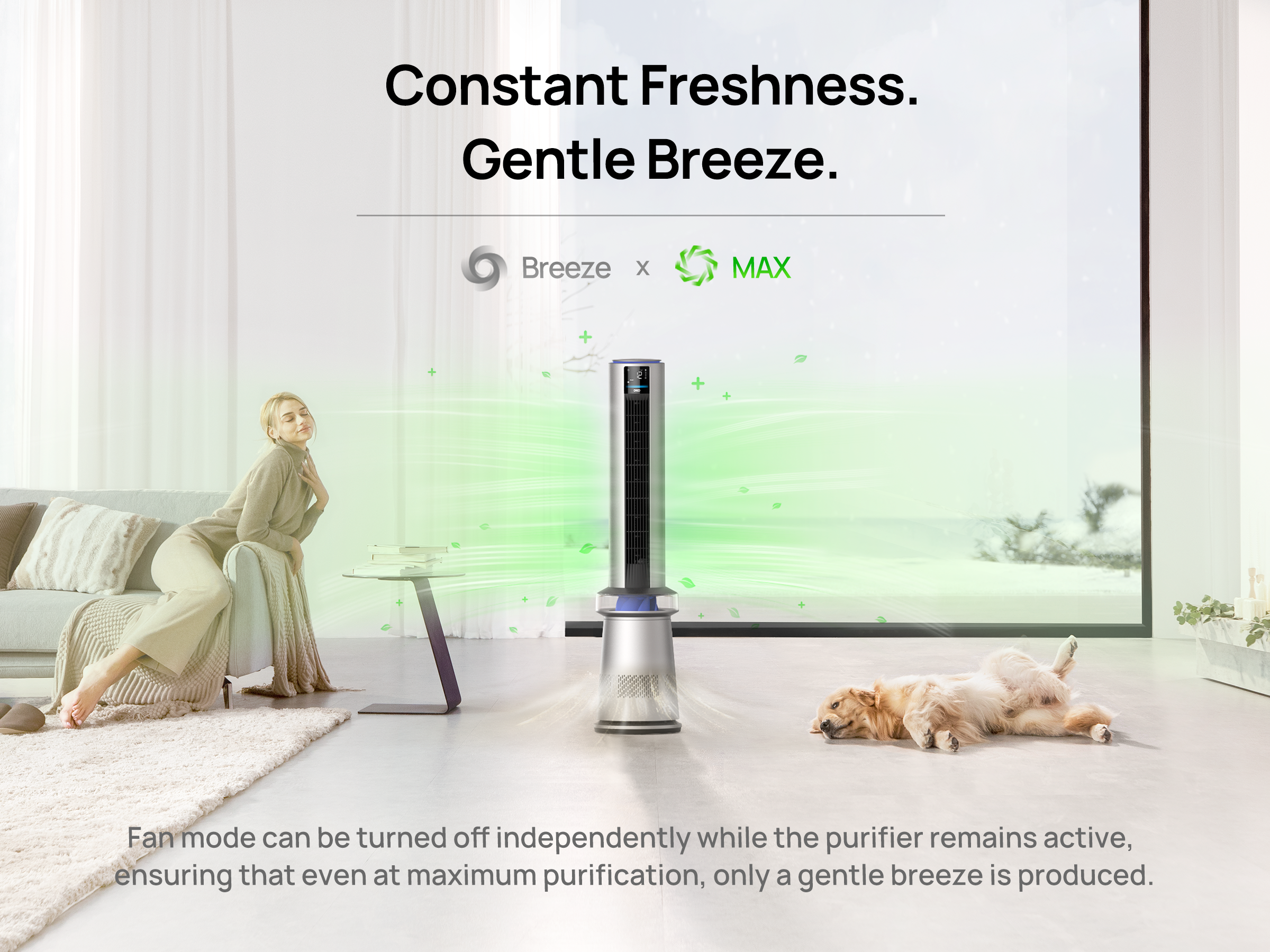 Constant Freshness.
Gentle Breeze.